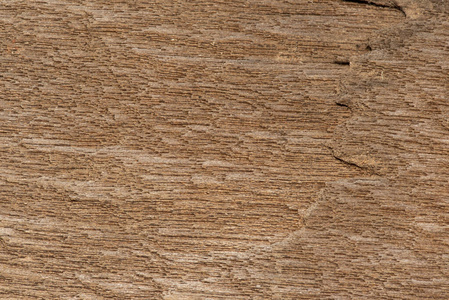 Natural old wood texture background. 