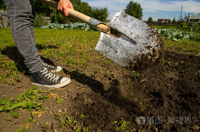 年轻人用铲子在花园里挖土