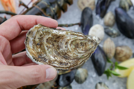 软体动物 海鲜 生的 海的 蛋白质 美味的 海洋 配方 美食家