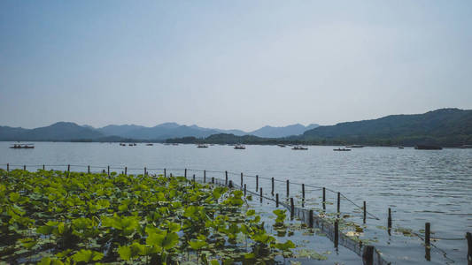 杭州西湖景观图片