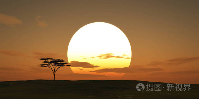 大太阳日落树景观三维插图