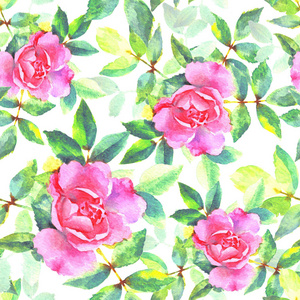 水彩手绘粉红色玫瑰，光栅无缝图案。