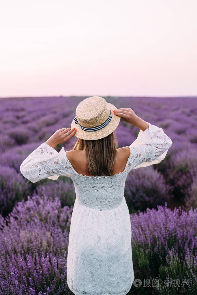 一个年轻的女人看着薰衣草一片鲜花