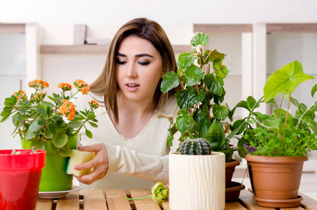 室内种植植物的年轻女园丁