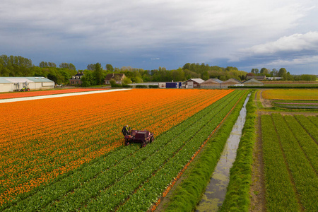 美女也疯狂图区图片-美女也疯狂图区素材-美女也疯狂图区插画-摄图新