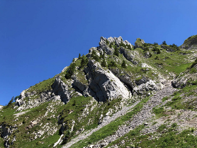 领域 土地 乡村 场景 旅行 徒步旅行 风景 自然 草地