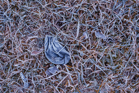 树叶和草的冬季霜冻背景
