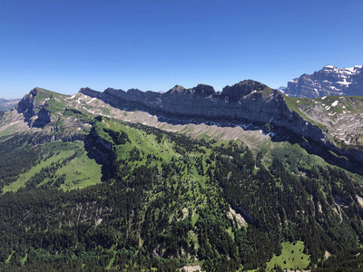 极端 阿尔卑斯山 地质学 自然 森林 瑞士人 湖边 全景图