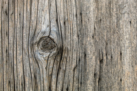 木材 材料 树干 植物 树皮 森林 古老的 自然 纹理 特写镜头