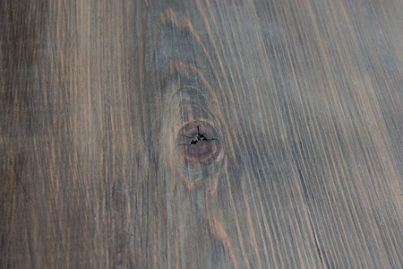 木板 自然 木材 特写镜头 松木 硬木 纹理 地板 材料