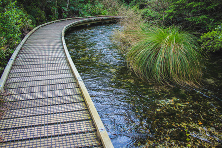 Te Waikoropupu泉水，也称为Pupu泉水，位于新西兰南岛高卡附近