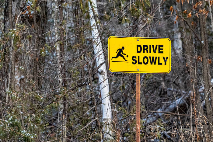 Cottage Country Road Sign Warns Drive Slowly