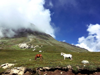 喜马拉雅山脉 自然 风景 旅行 放牧 野生动物 村庄 山谷