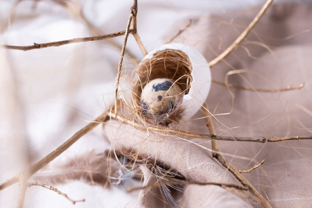  quail egg in nest with feather and golden branches. Selective f