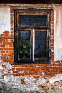 复古的 建设 木材 窗口 被遗弃的 古老的 外观 老年人