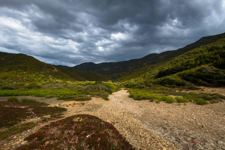 自然 森林 假期 旅游业 欧洲 小山 风景 场景 夏天 房子