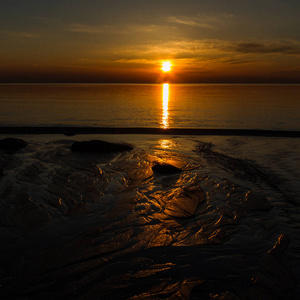 美丽的 假期 颜色 太阳 海岸 地平线 黎明 反射 自然