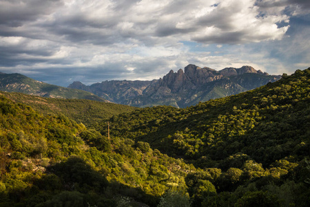 小山 森林 假期 环境 风景 国家的 夏天 自然 山谷 天空