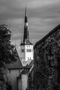 屋顶 德国 城市 古老的 波希米亚 城堡 共和国 外部 旅游业