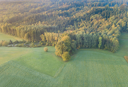 秋天 瑞士 自然 瑞士人 环境 风景 徒步旅行 美丽的 无人机