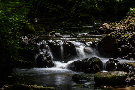 公园 风景 流动 森林 岩石 夏天 泼洒 运动 苔藓 植物