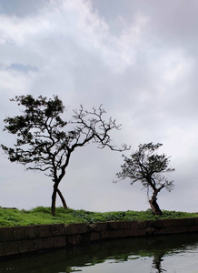 天空 风景 自然 美丽的 森林 季节 环境