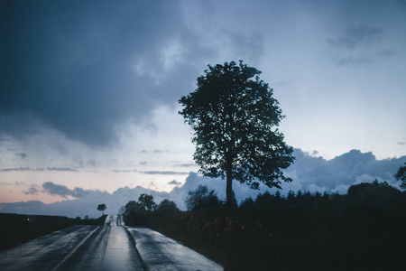 雨天村里的路