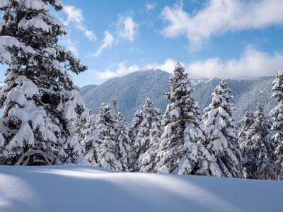 雪山景观