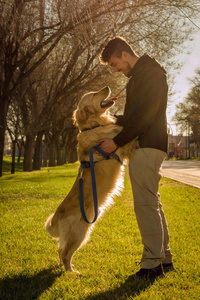 狗金毛猎犬和男人以一种可爱的方式凝视着对方