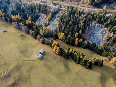 环境 瑞士 树叶 风景 天线 草地 秋天 季节 自然 纹理