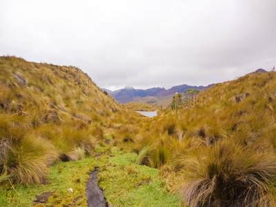 自然 风景 岩石 植物 旅游业 森林 天空 山谷 旅行 美丽的