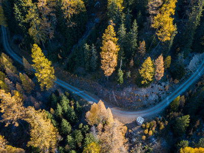 风景 森林 旅行 公路 落下 冒险 颜色 曲线 无人机 伍兹