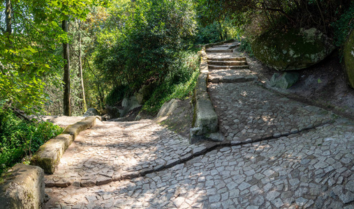 葡萄牙辛特拉郊外花园里的小路图片