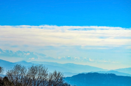 薄雾 旅游业 水彩 小山 木材 寒冷的 场景 冬天 早晨