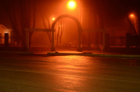 公园 朦胧 灯笼 神秘 冬天 寒冷的 拱门 植物 空的 早晨