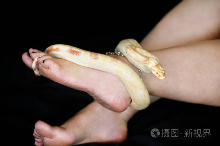 下载小样发票合同问题/举报野生动物 自然 爬虫学 美女 种类 宠物