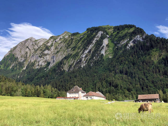 领域 旅行 风景 放牧 生物 农业 阿尔卑斯山 村庄 全景
