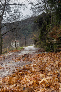 山间狭窄的乡村公路