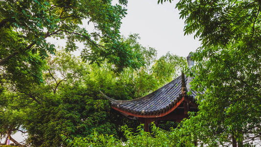 西城公园树木间的中国传统建筑