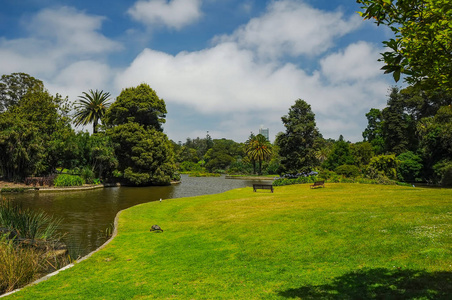 Grooming and beauty of the parks 