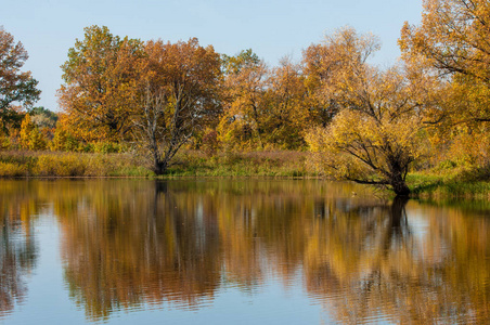 Fall landscape. Beautiful autumn forest in the national park So