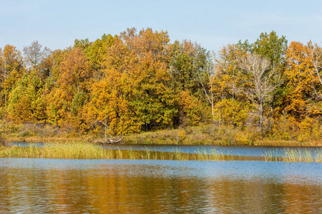 Fall landscape. Beautiful autumn forest in the national park So