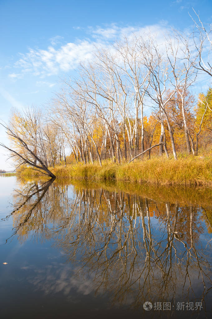 湖面上的秋日宁静倒映在水中的树木