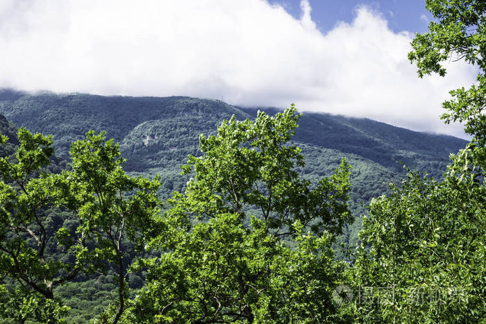 山景，山脉，绿树，山谷，冰川。俄罗斯卡拉奇切尔克斯亚阿尔克孜