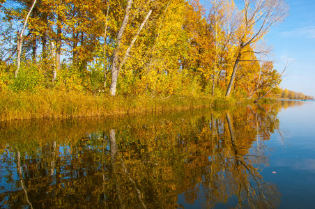 Autumn Leaves. 