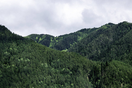 山地景观山脉森林，岩石冰川雪云，多姆湾，卡拉奇切尔克斯西亚，俄罗斯