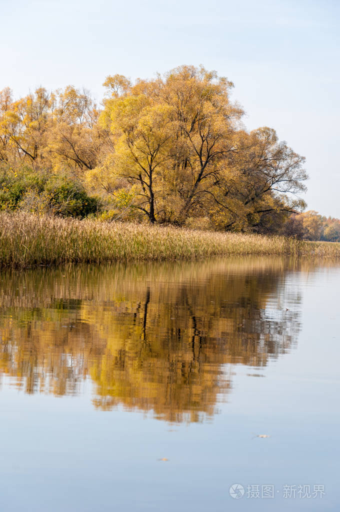 湖面上的秋日宁静倒映在水中的树木
