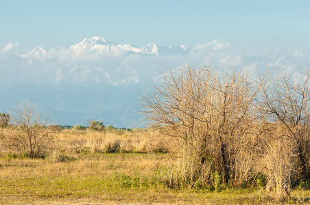  steppe