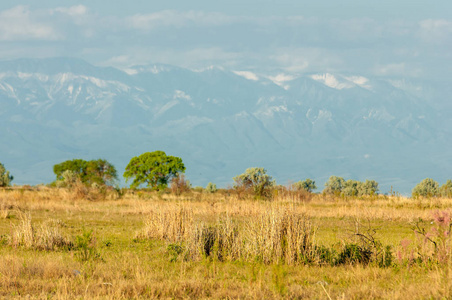  steppe