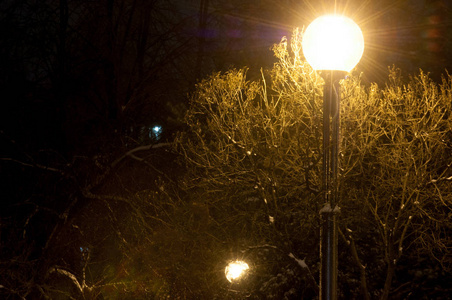 城市景观之夜，大雪纷飞，街灯一盏